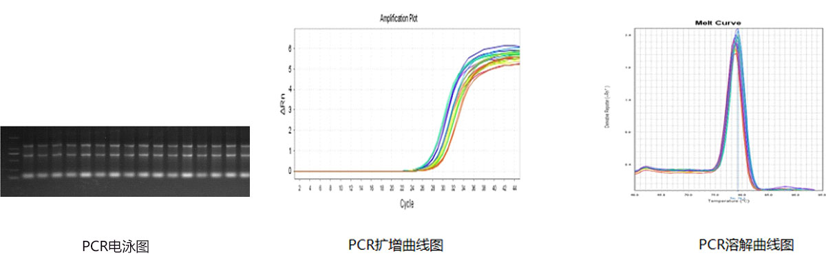 實(shí)驗(yàn)結(jié)果圖