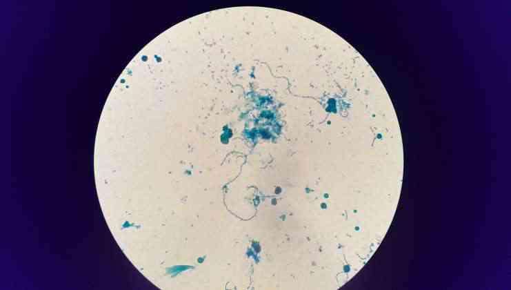 貴陽(yáng)生物實(shí)驗(yàn)中心