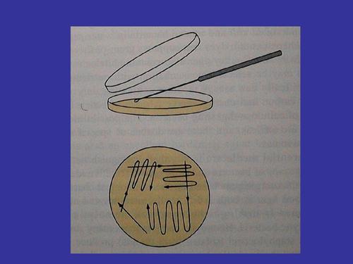 貴陽生物技術(shù)服務(wù)公司